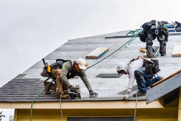Professional Roofing technician working in Boulevard, CA
